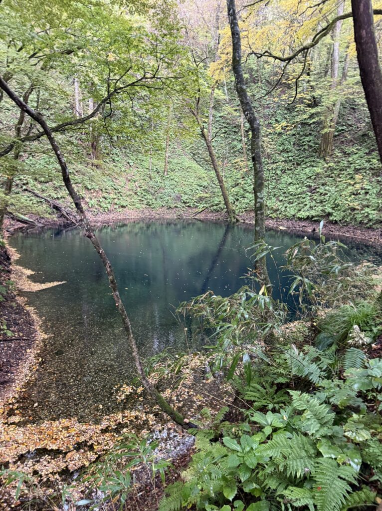 白神山地の画像