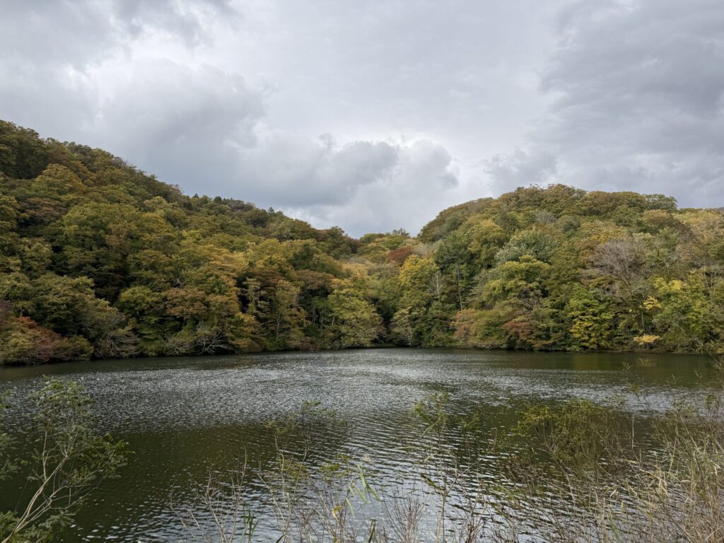 白神山地の画像