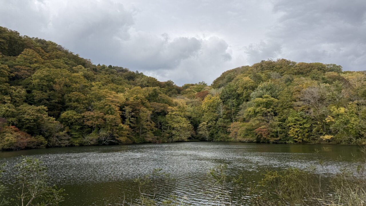 白神山地の画像