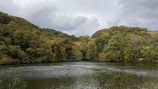 白神山地の画像
