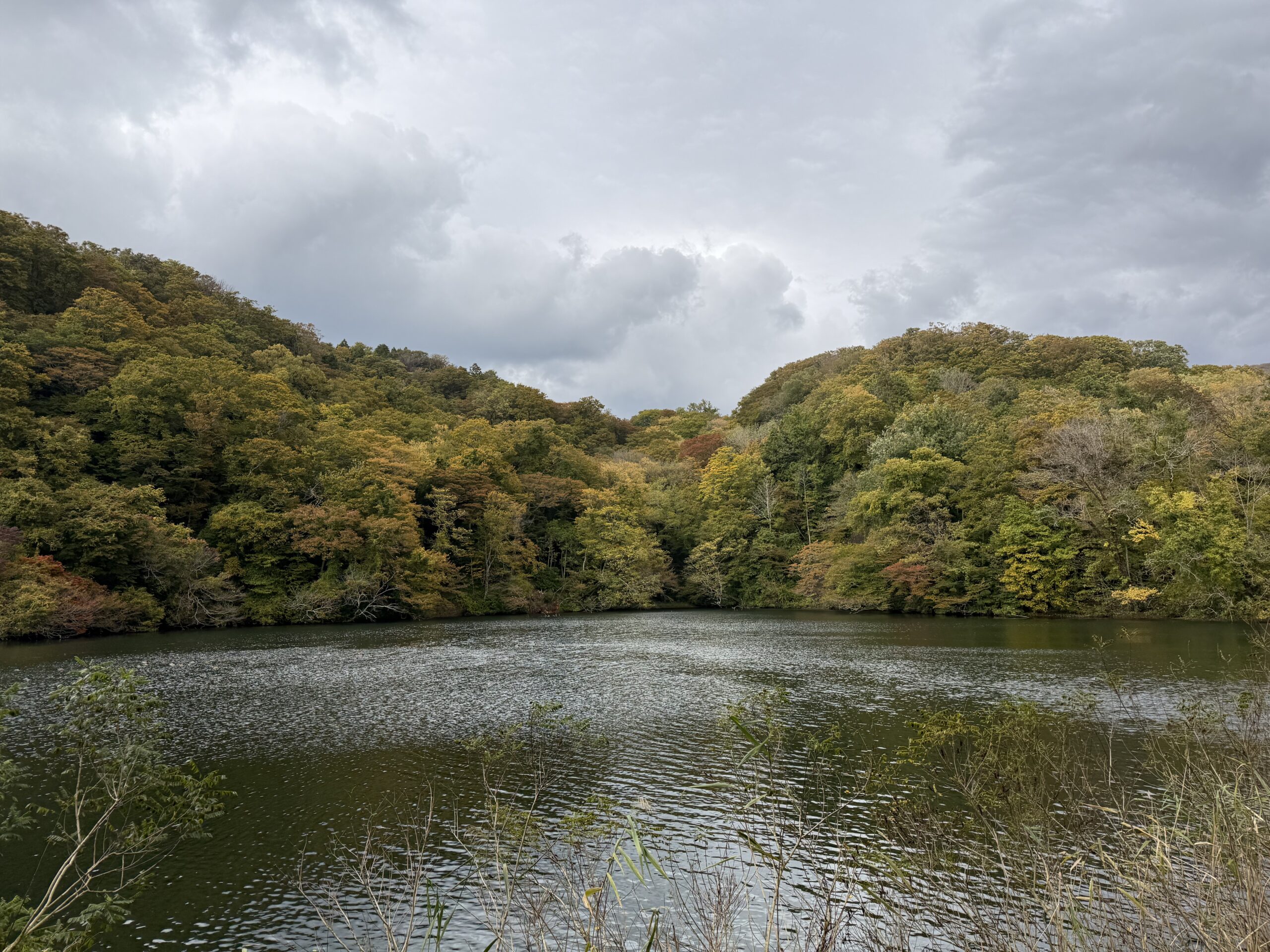 白神山地・十二湖