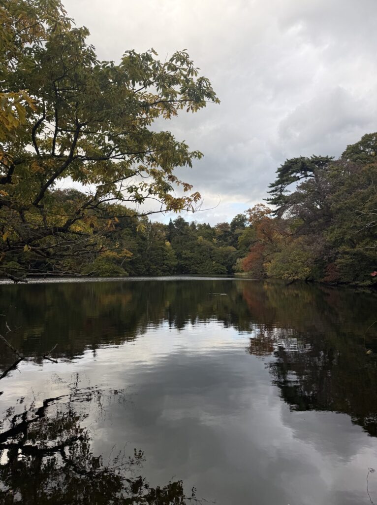 白神山地の画像