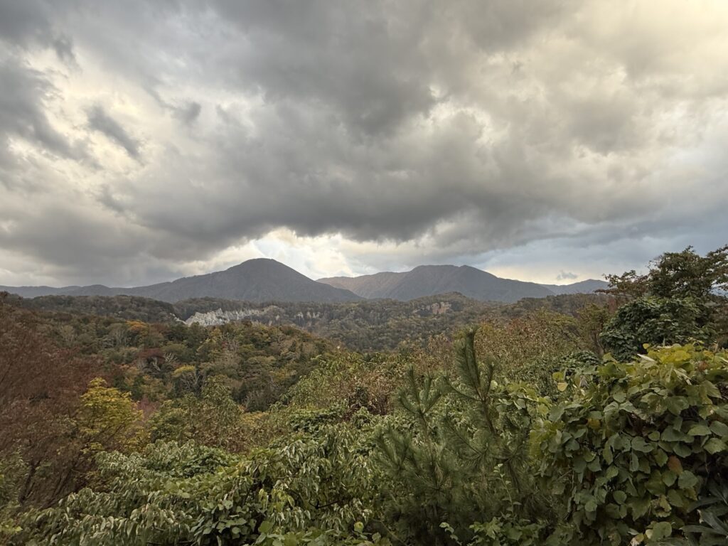 白神山地の画像