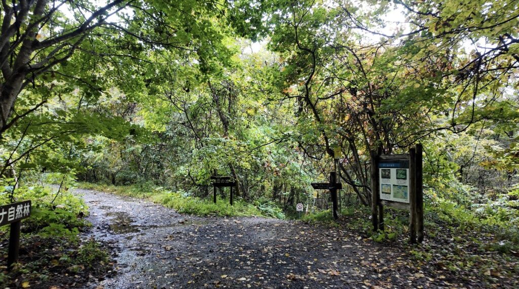 白神山地の画像
