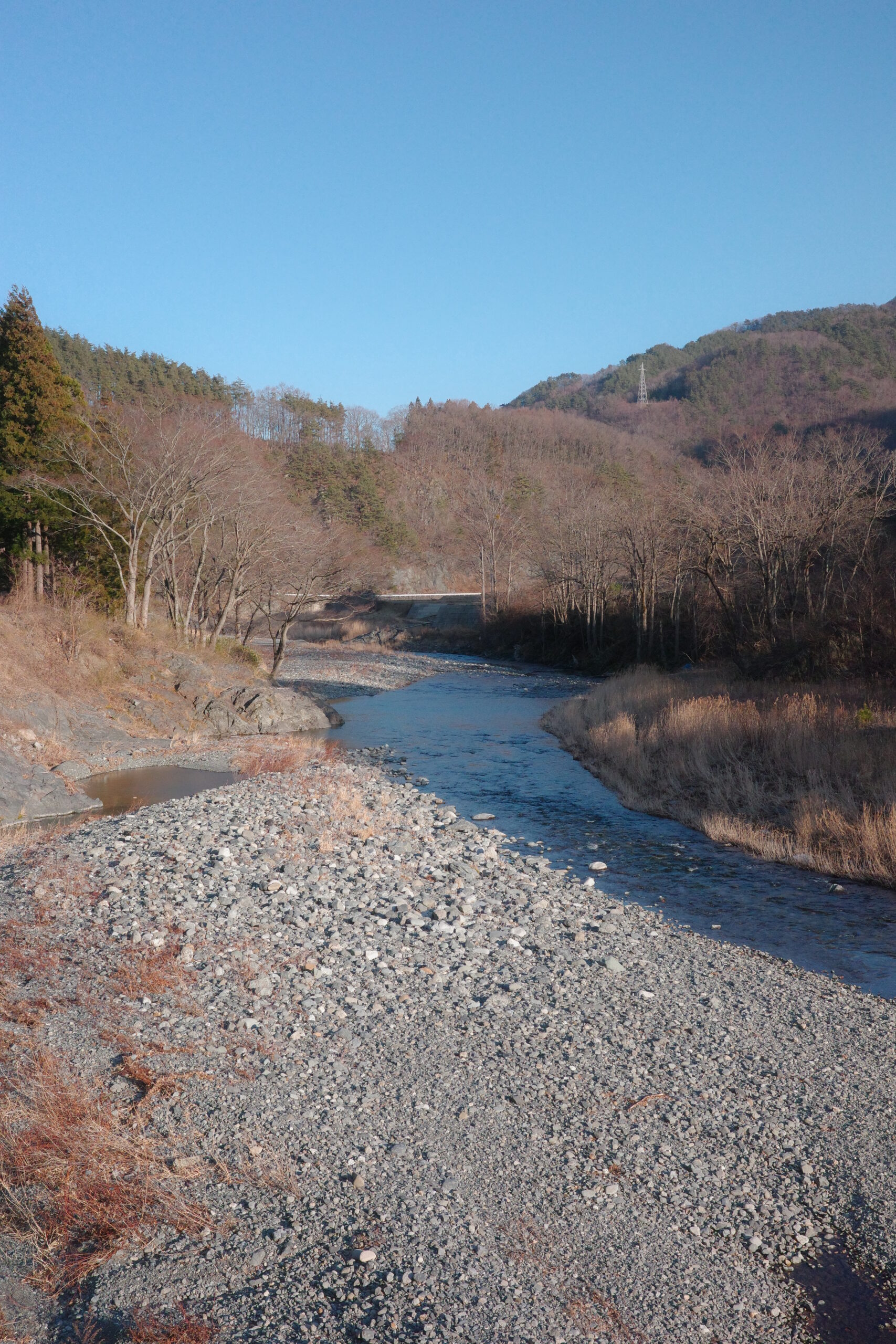 岩手の画像