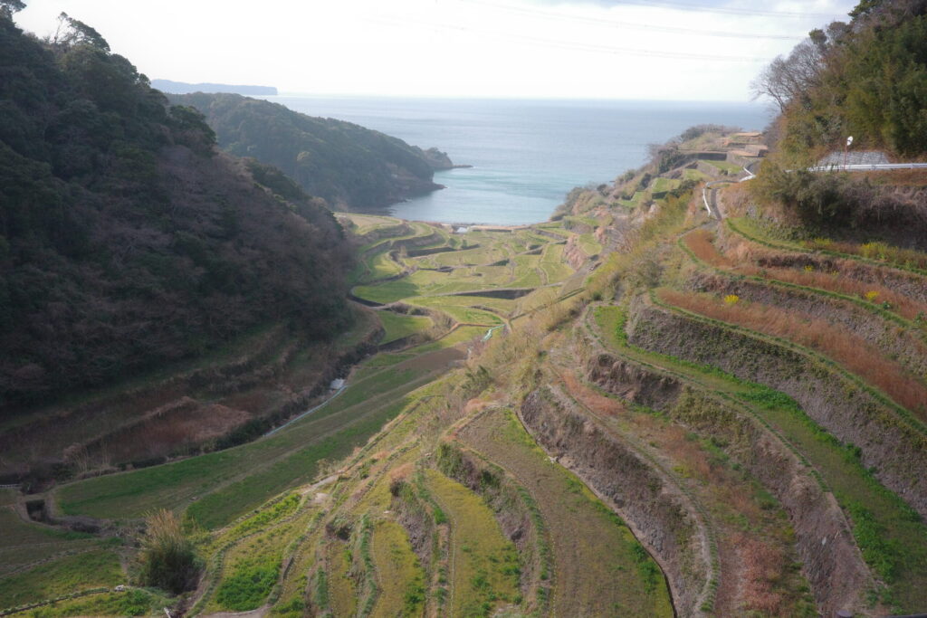 浜ノ浦の棚田の画像