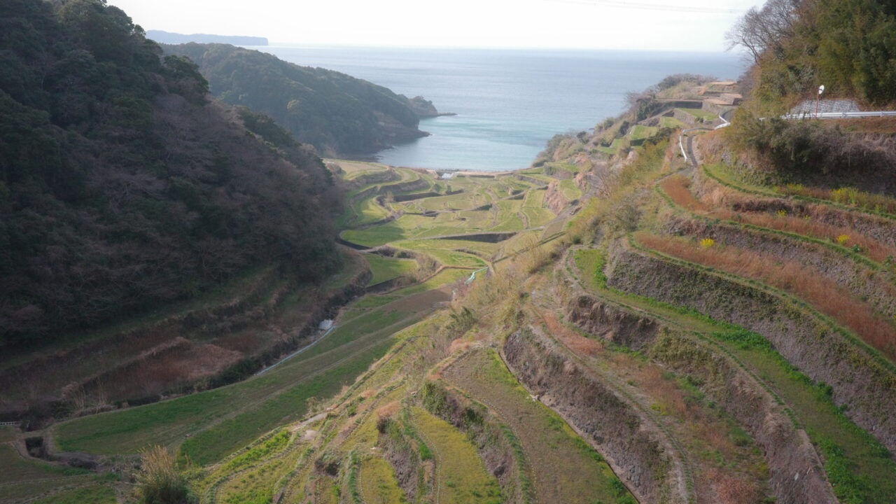 浜ノ浦の棚田の画像