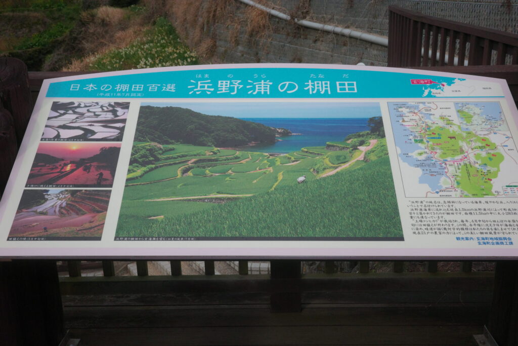 浜ノ浦の棚田の画像