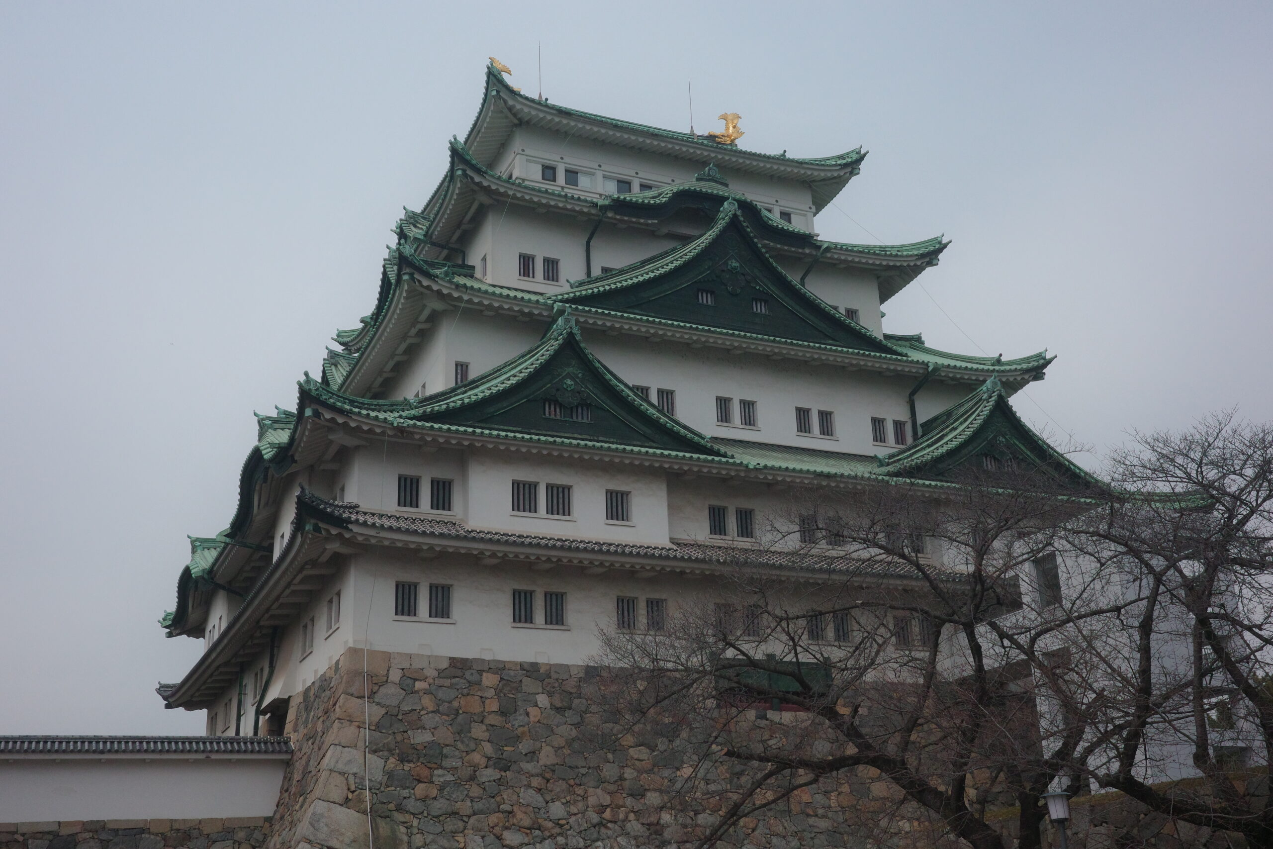 名古屋城の画像