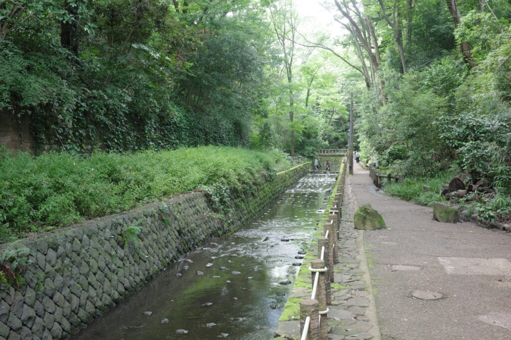 等々力渓谷 遊歩道
