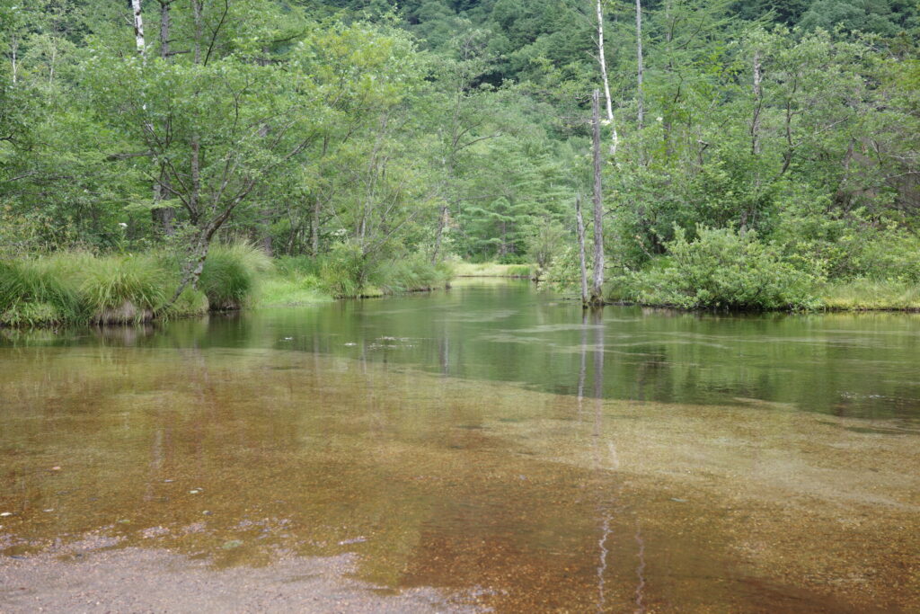 上高地 田代池・田代湿原