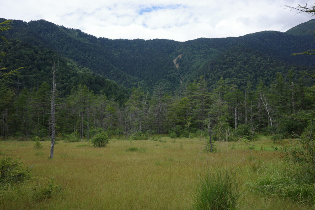 上高地 田代池・田代湿原