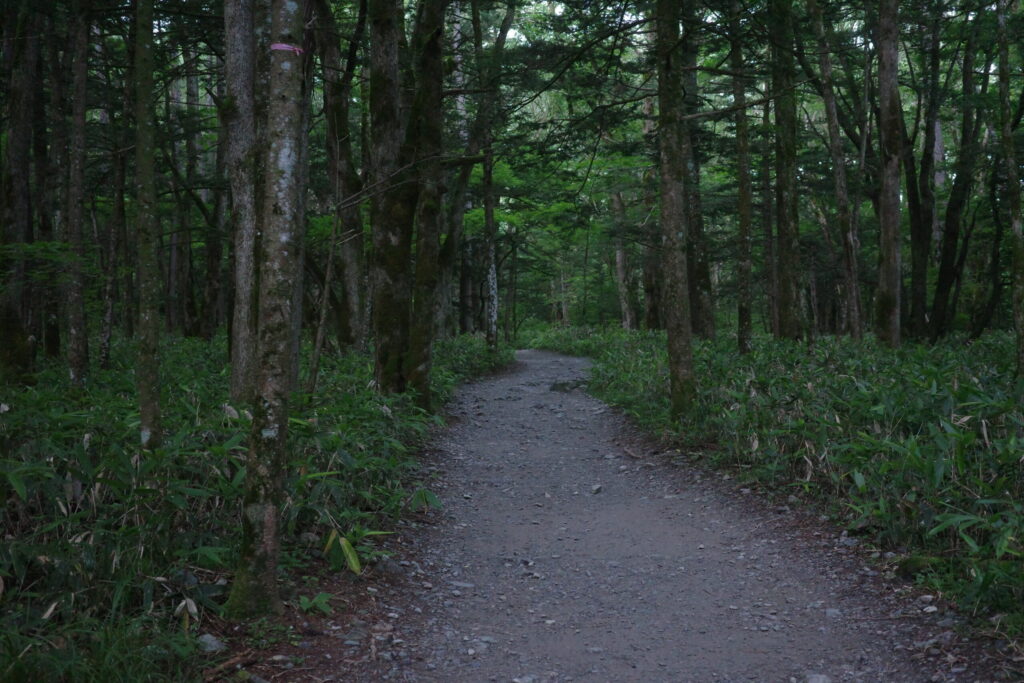上高地