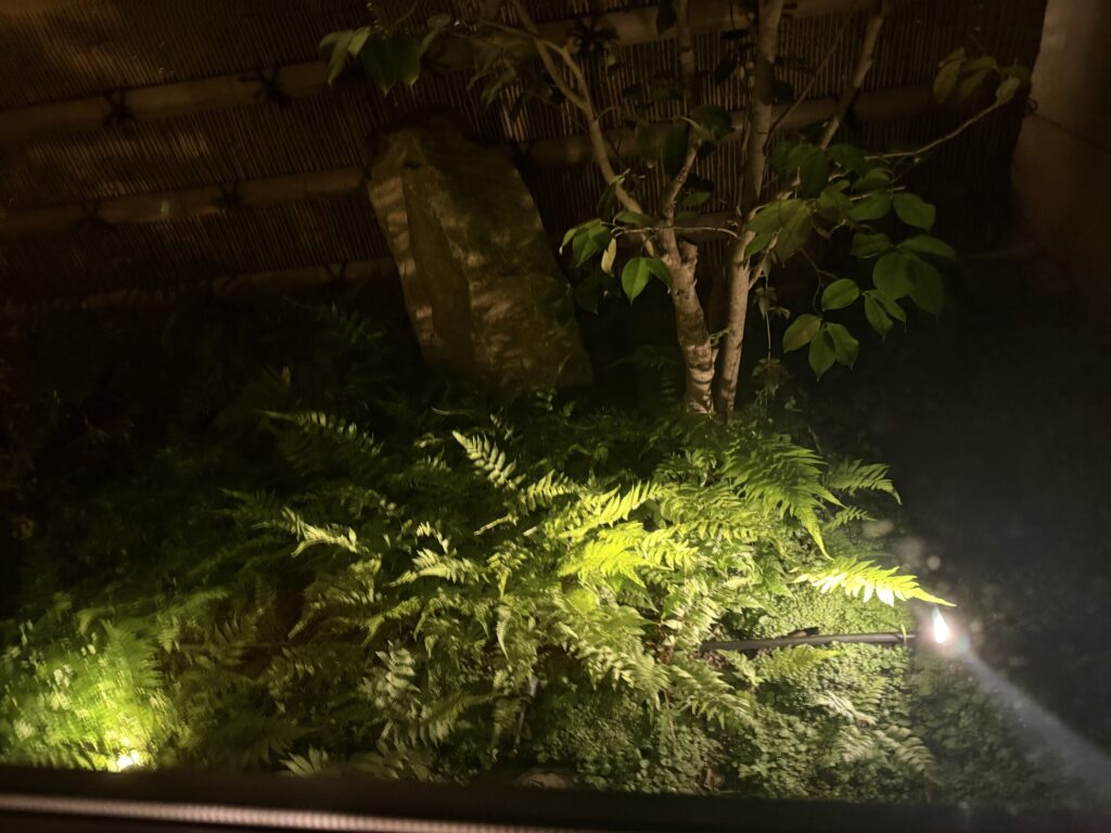 KAYA 京都 二条城