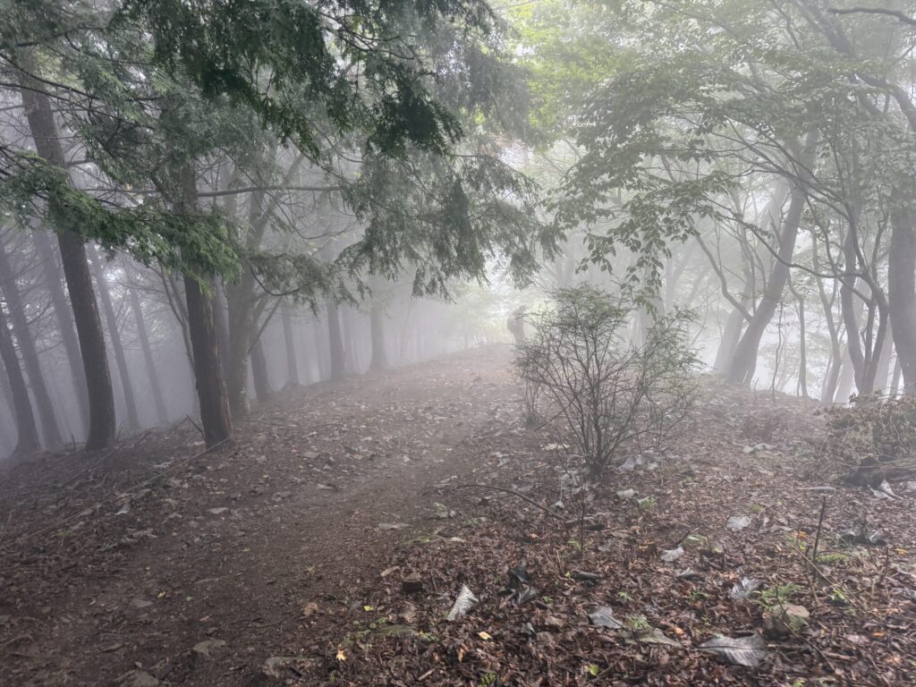 武甲山