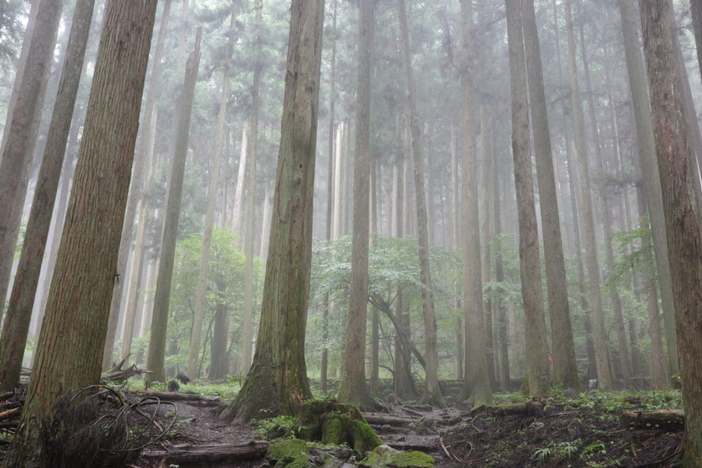 武甲山