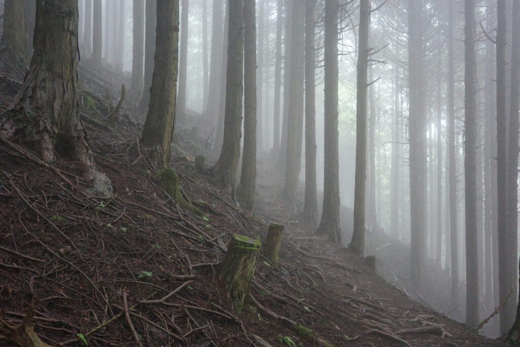 武甲山