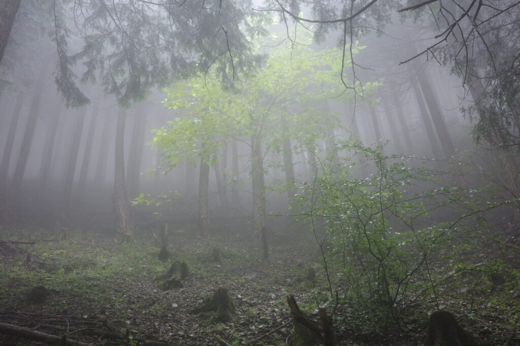 武甲山