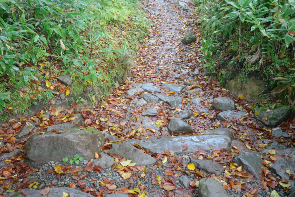 鳩待峠~山ノ鼻