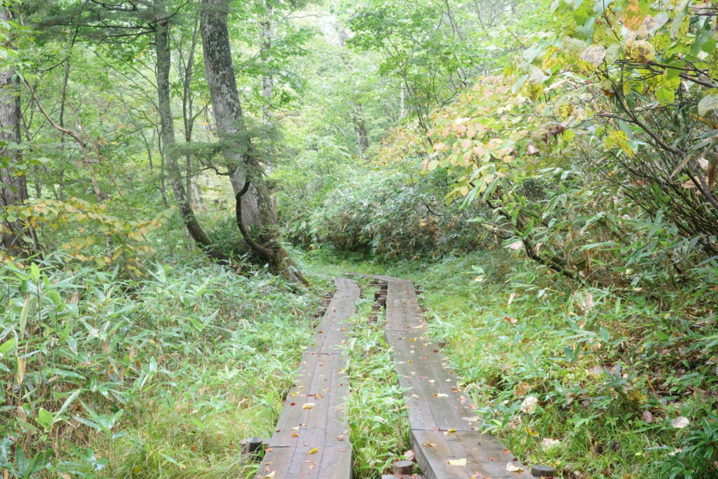 鳩待峠~山ノ鼻