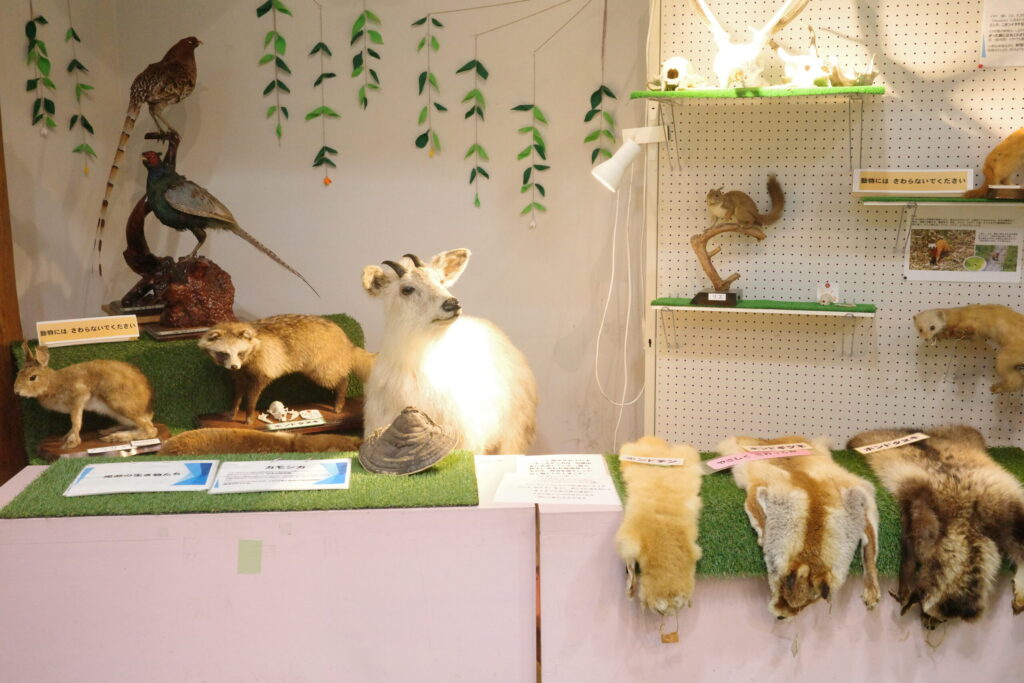 山の鼻ビジターセンター